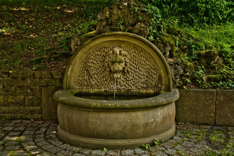 Brunnentrog mit Löwenkopfspeier in Stuttgart