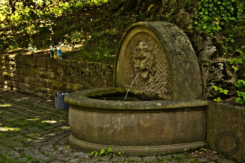 Brunnentrog mit Löwenkopfspeier in Stuttgart