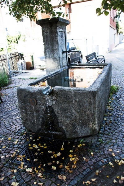 Ganzenbrunnen in Stuttgart
