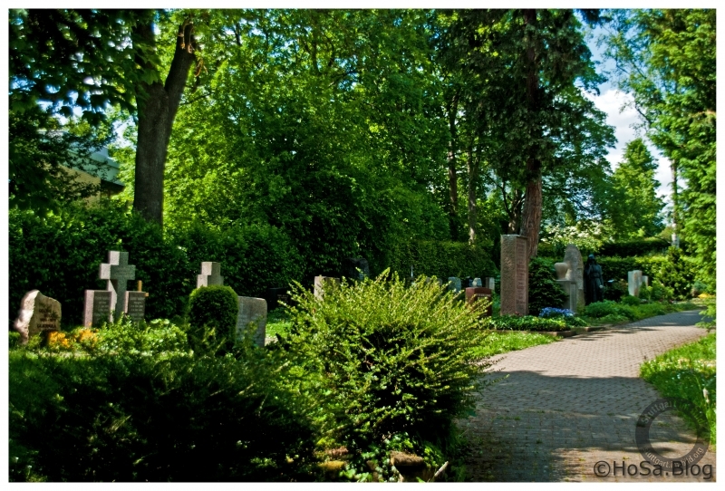 geschwungener Weg auf dem Friedhof der Uni Hohenheim