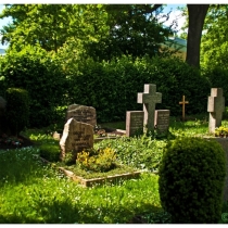 alte Gräber auf dem Friedhof der Uni Hohenheim